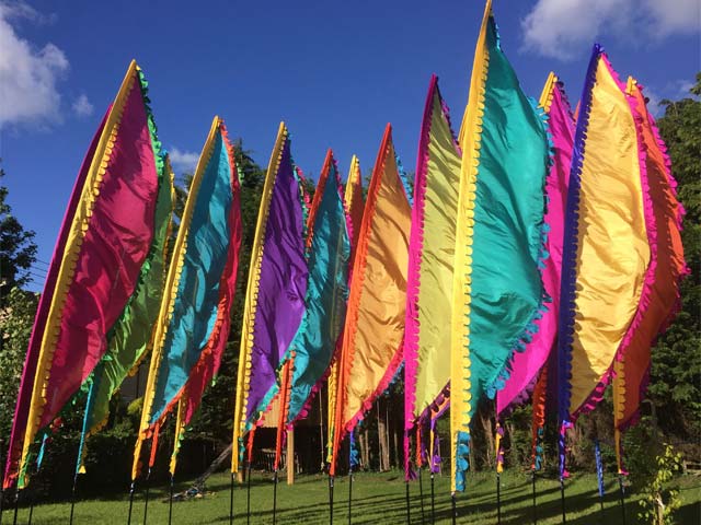 Roze, gele, groene en paarse festivalvlaggen op een grasveld.